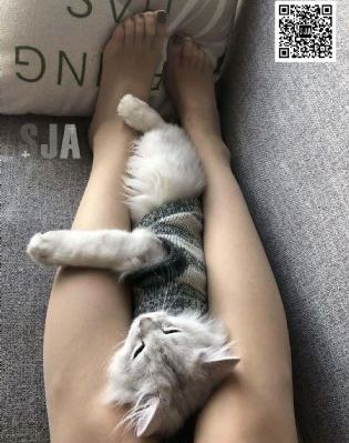 伊人影院网_剧情片完整在线观看